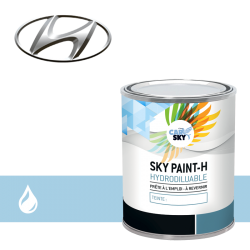 Peinture Hyundai hydro