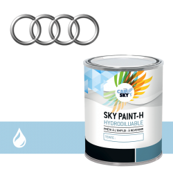 Peinture Audi hydro